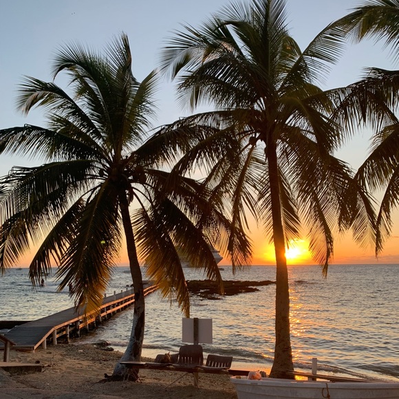 Meet your Posher, Macie - Picture 1 of 1